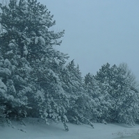 2011.01.12-010.JPG