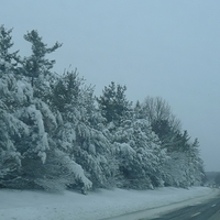2011.01.12-011.JPG