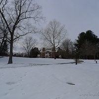 2011.01.11-001.JPG