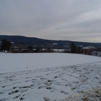 2011.01.11-011.JPG