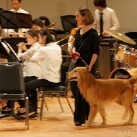 2011.11.03-011.JPG