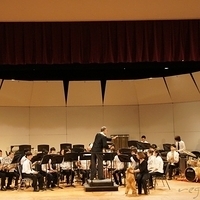 2011.11.03-013.JPG