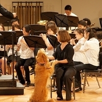 2011.11.03-014.JPG