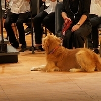 2011.11.03-015.JPG
