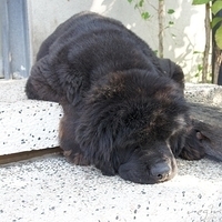 2011.10.23-095.JPG