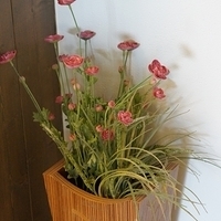 2011.10.23-100.JPG