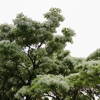 2012.04.03-004.JPG