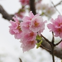 2012.04.03-028.JPG