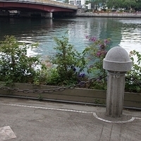 2012.04.06-013.JPG
