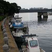 2012.04.06-024.JPG