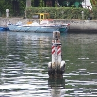 2012.04.06-025.JPG
