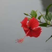 2012.04.06-052.JPG