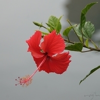 2012.04.06-053.JPG