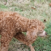 2012.04.06-056.JPG