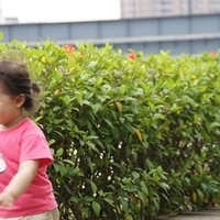 2012.04.06-063.JPG