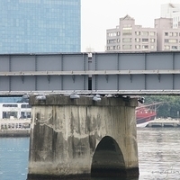 2012.04.06-064.JPG