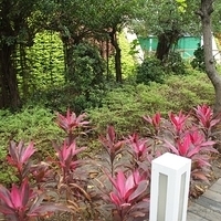 2012.04.06-070.JPG