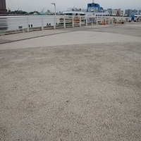 2012.04.06-073.JPG