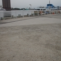 2012.04.06-074.JPG