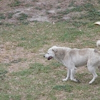 2012.04.06-119.JPG