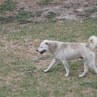 2012.04.06-120.JPG