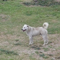 2012.04.06-122.JPG