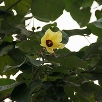 2012.04.06-127.JPG