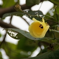 2012.04.06-132.JPG