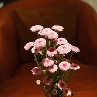 2012.04.07-002.JPG