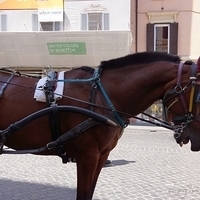 2012.06.22-027.JPG