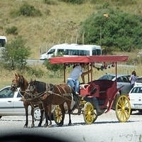 2012.06.17-047.JPG