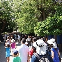 2012.06.17-061.JPG