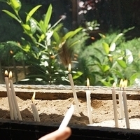 2012.06.17-086.JPG