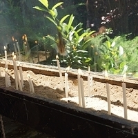 2012.06.17-087.JPG