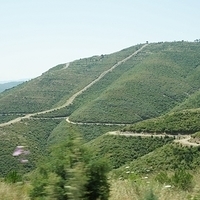 2012.06.17-092.JPG