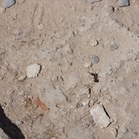 2012.06.17-142.JPG