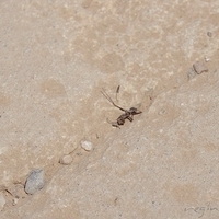 2012.06.17-187.JPG