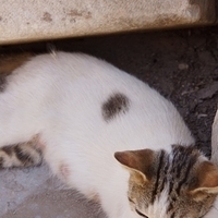 2012.06.17-227.JPG