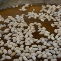 2012.06.17-326.JPG
