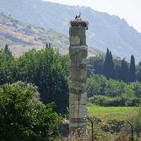 2012.06.17-362.JPG