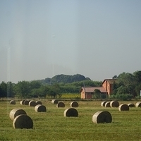 2012.06.23-036.JPG