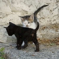 2012.06.15-040.JPG