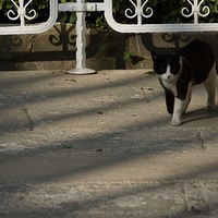 2012.06.15-104.JPG