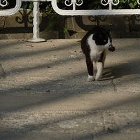 2012.06.15-105.JPG