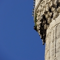 2012.06.15-114.JPG