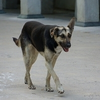 2012.06.15-171.JPG