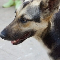 2012.06.15-183.JPG