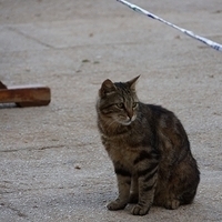2012.06.15-188.JPG