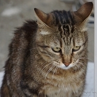 2012.06.15-193.JPG