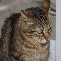 2012.06.15-194.JPG